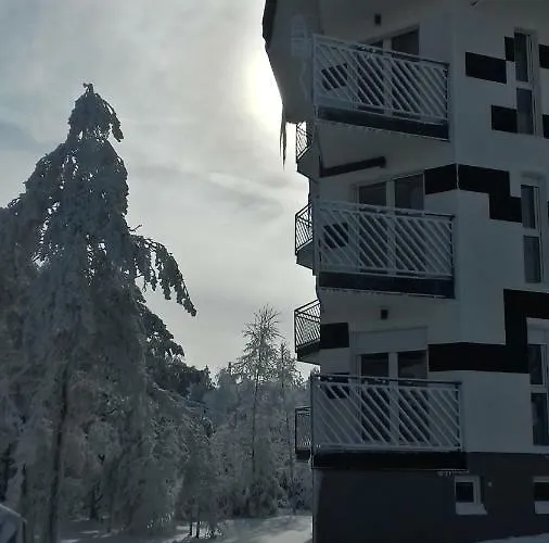 Srebrna Pahulja Divčibare